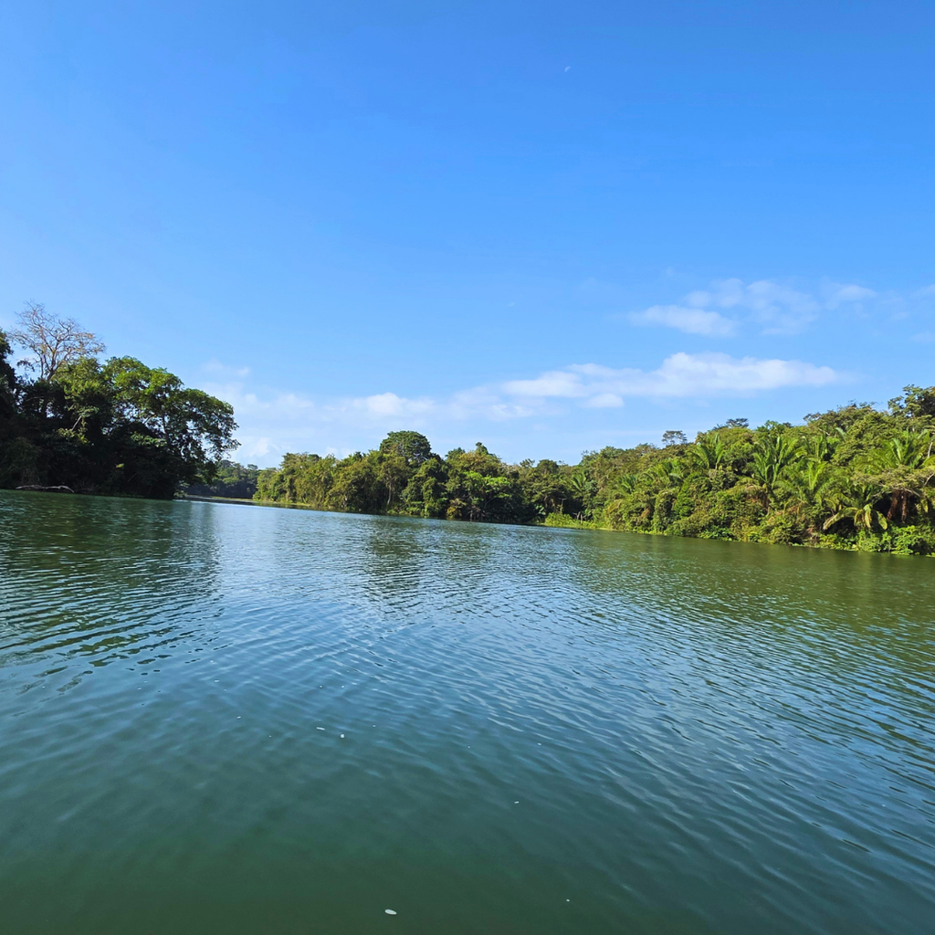 TOUR ISLA DE LOS MONOS Y CANAL DE PANAMÁ EN LANCHA