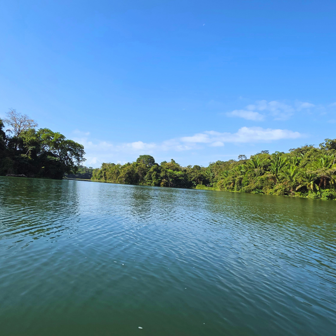 TOUR ISLA DE LOS MONOS Y CANAL DE PANAMÁ EN LANCHA