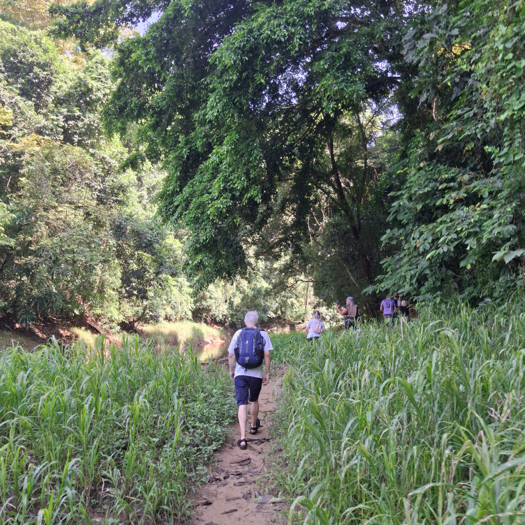 TOUR HACIA LA COMUNIDAD EMBERÁ – CULTURA Y NATURALEZA EN CHAGRES