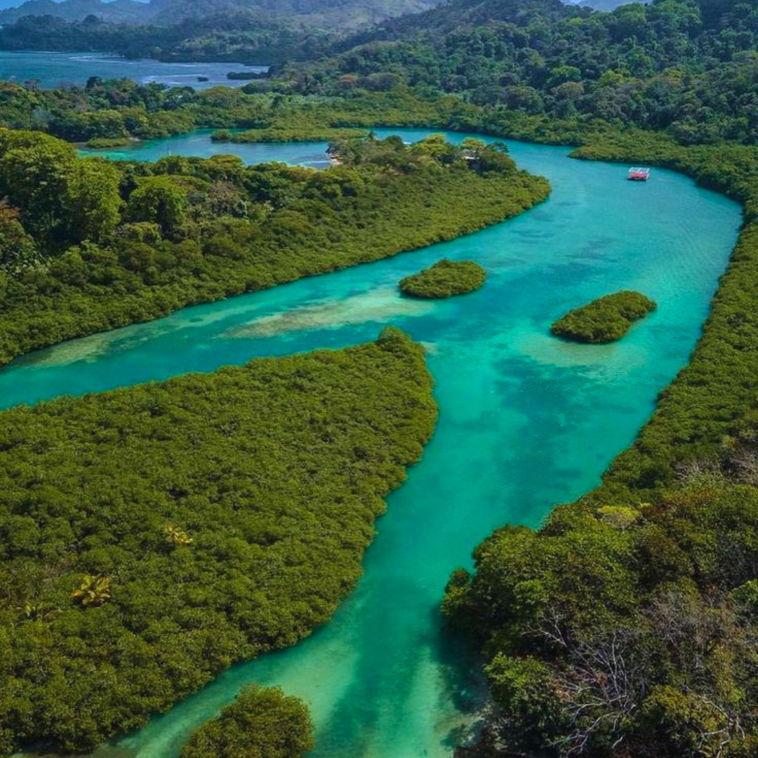 TOUR PLAYA BLANCA & VENAS AZULES – CARIBE EN COLÓN