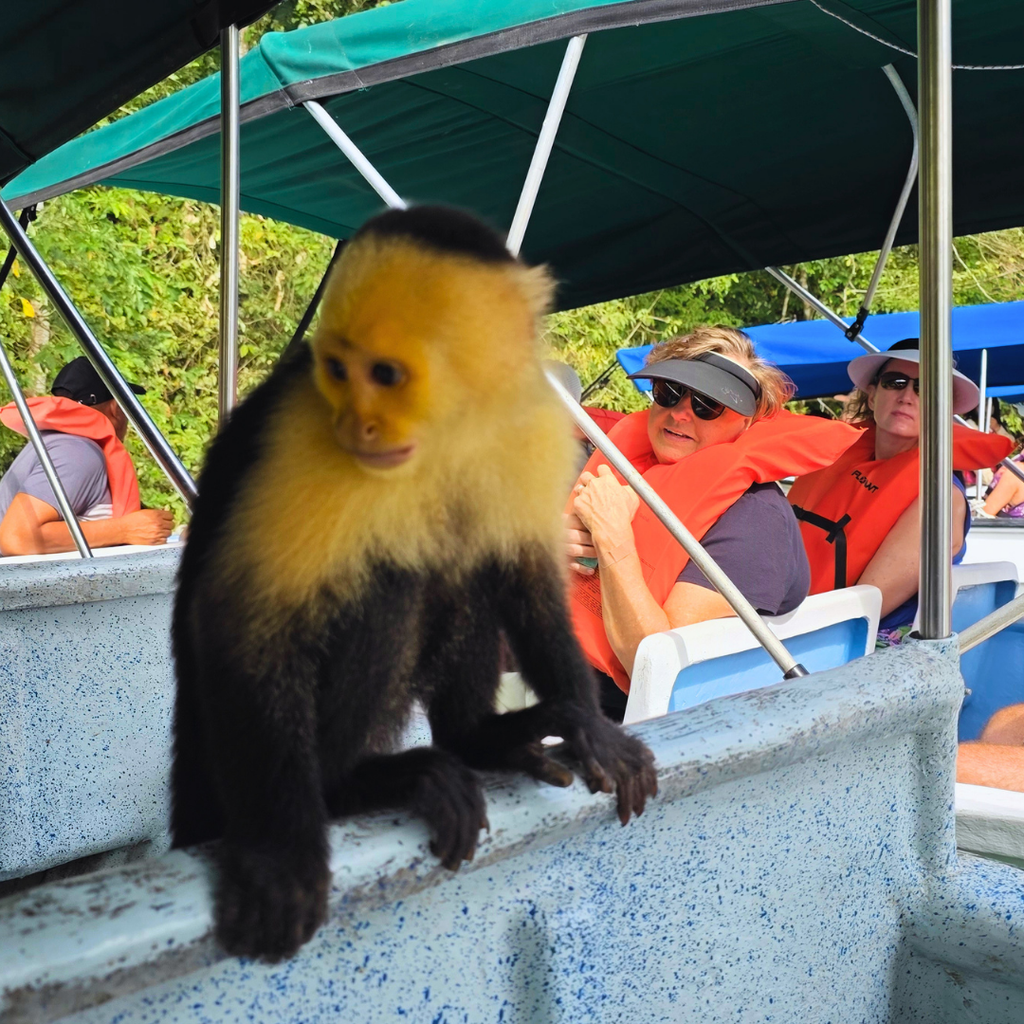 TOUR ISLA DE LOS MONOS Y CANAL DE PANAMÁ EN LANCHA