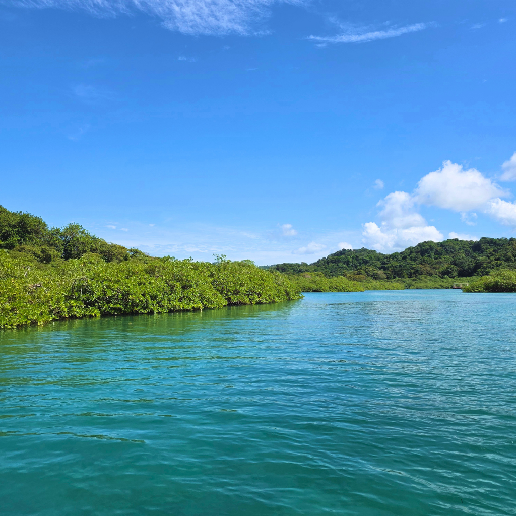 TOUR PLAYA BLANCA & VENAS AZULES – CARIBE EN COLÓN