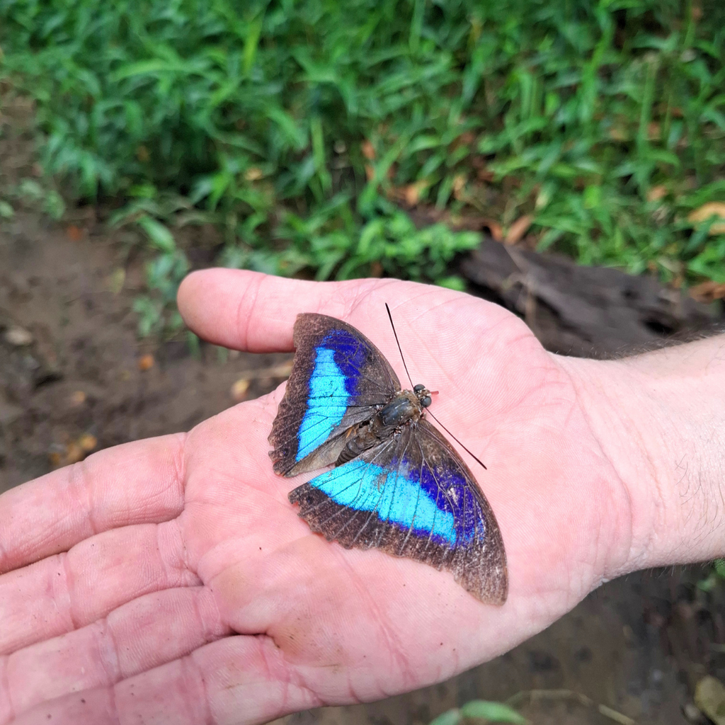 TOUR HACIA LA COMUNIDAD EMBERÁ – CULTURA Y NATURALEZA EN CHAGRES