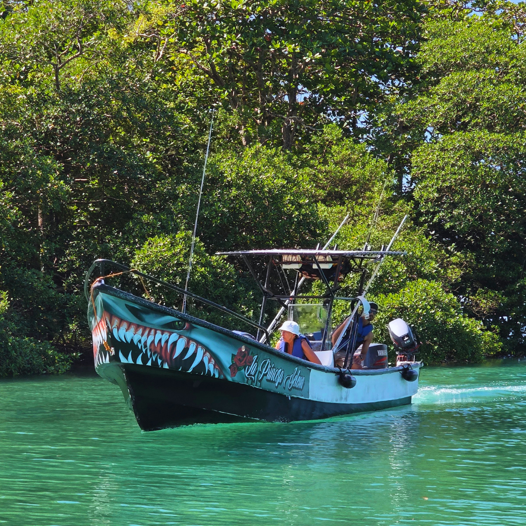 TOUR PLAYA BLANCA & VENAS AZULES – CARIBE EN COLÓN