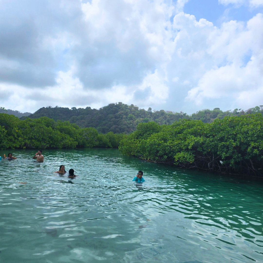 TOUR DE PLAYA ISLA MAMEY - CARIBE PANAMEÑO EN COLON