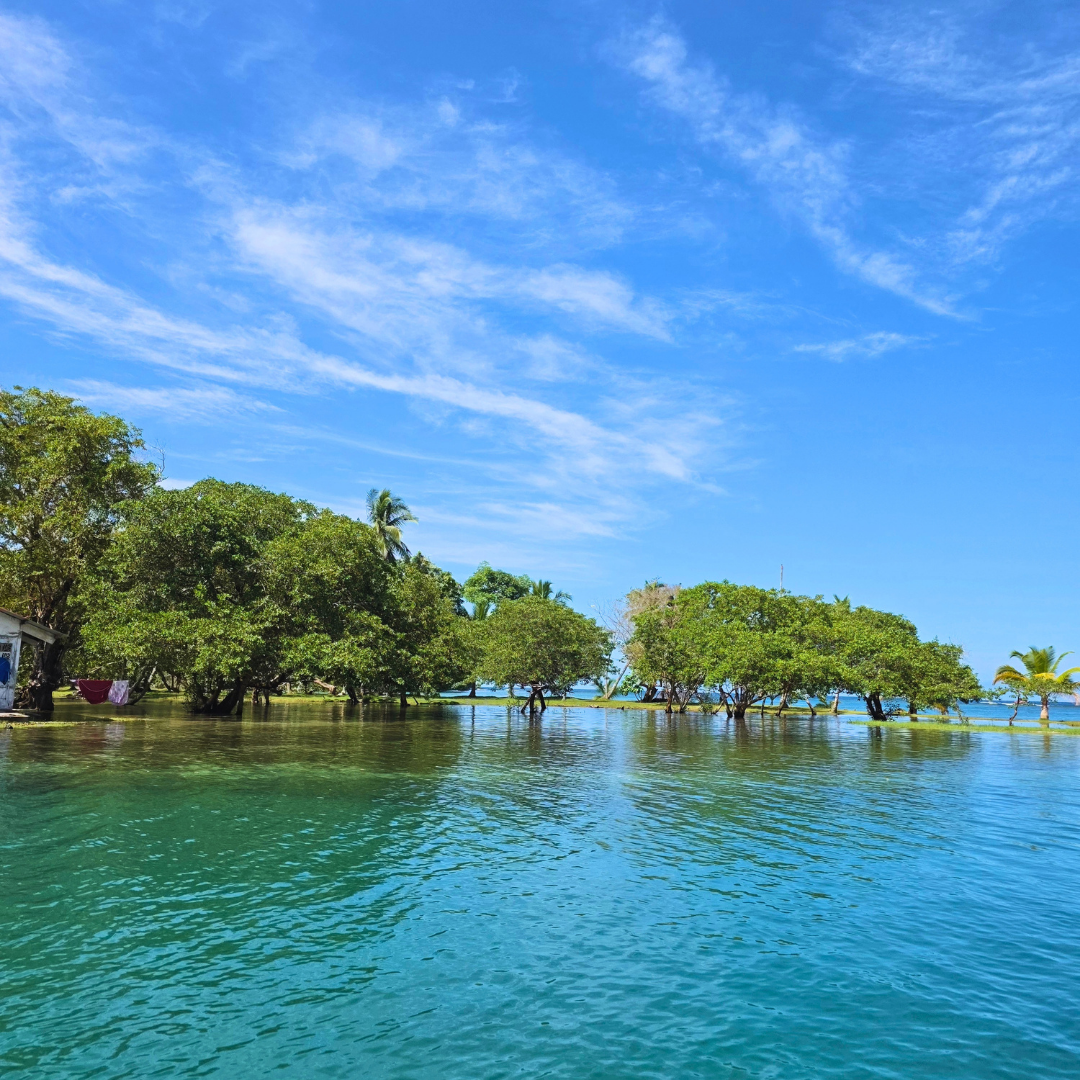 TOUR PLAYA BLANCA & VENAS AZULES – CARIBE EN COLÓN