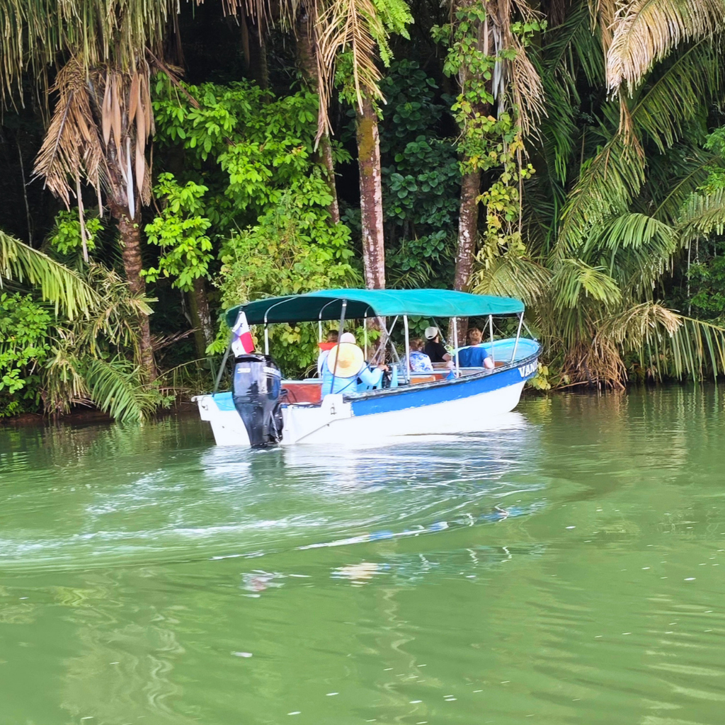 TOUR ISLA DE LOS MONOS Y CANAL DE PANAMÁ EN LANCHA